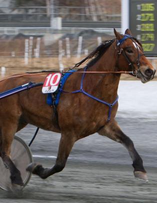 - Har ikke gjort noe, jeg