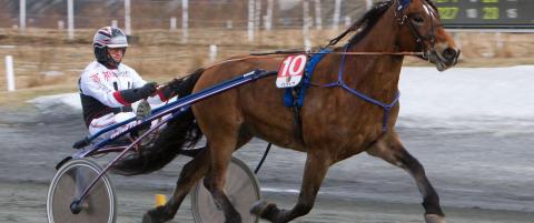 - Har ikke gjort noe, jeg