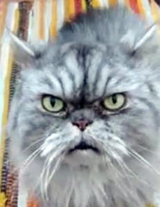 - Han er egentlig ikke s� sur og gretten