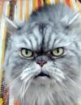 - Han er egentlig ikke s� sur og gretten