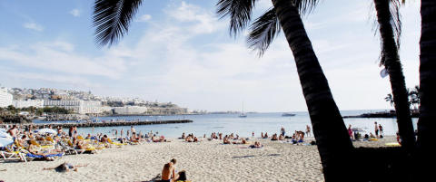 S� billig at du m� sp�rre deg sj�l om det er verdt � la v�re