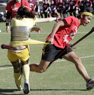 GULLSNOPP En jager fra Stoney Brook University (t.h) fors�ker � fange gullsnoppen. Foto: AP Photo/Mary Altaffer