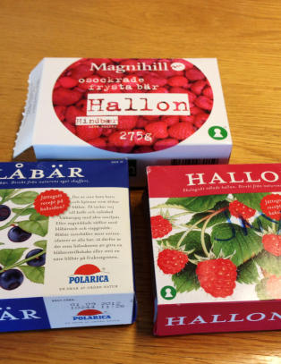 FHI: - Ikke epidemi i Norge