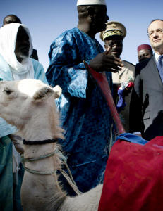Kamelen til den franske presidenten
spist opp i Mali