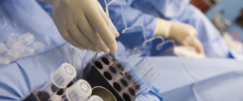 Her har de designet 9000 babyer