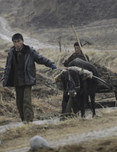 - Vi kikket opp i pilleboksene, og de var nesten tomme