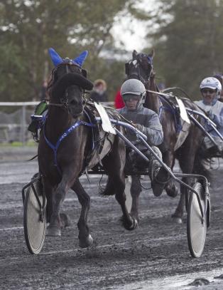 Jerndama beskyttes mot seg selv