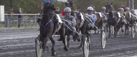Jerndama beskyttes mot seg selv