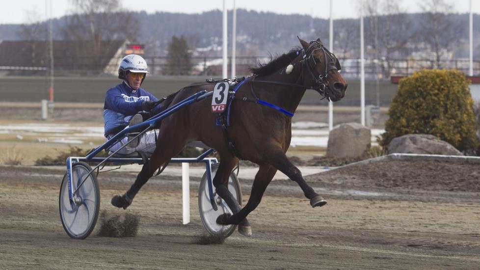 EN LITEN FLYMASKIN. Just Livin My Life er ikke s� stor. Men hingsten vet hvordan man skal flytte p� beina. Hamre tror p� ny seier. Foto: HESTEGUIDEN.COM.