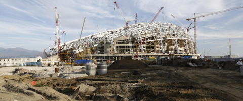 Myndighetene i Sotsji skal avlive 2000 hjeml�se katter og hunder