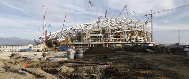 Myndighetene i Sotsji skal avlive 2000 hjeml�se katter og hunder