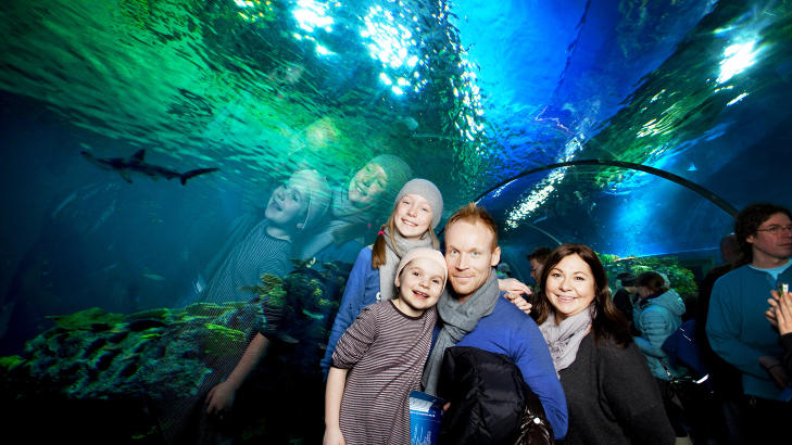 TUNNELSYN: Josefine (10) og Cornelia (7) Vandbakk Gjester, med far Jan-Trygve Gjester og mor Christell Vandbakk kommer tett p� fisken i Oceaniet, det st�rste bassenget p� Den bl� planet i K�benhavn. Foto: KRISTIAN RIDDER-NIELSEN