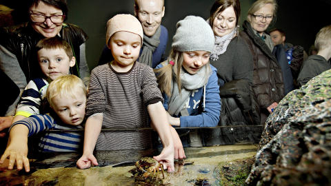 FANGE KRABBER: I et lite basseng kan Cornelia (7) og Josefine (10) Vandbakk Gjester ta p� krabber, snegler og sj�stjerner sammen med pappa Jan-Trygve Gjester og mamma Christell Vandbakk.  Foto: KRISTIAN RIDDER-NIELSEN