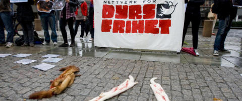 - Pelsn�ringens tid er over