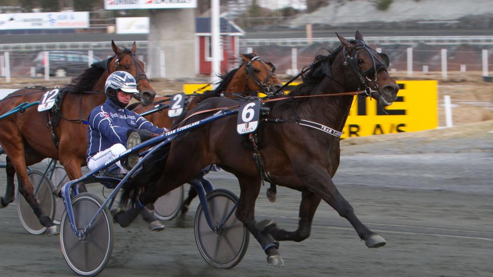 INGEN MELLOMLANDING. Nonstop Sas er flink til � henge med i stor fart hele veien, mener �ystein Tjomsland. Foto: HESTEGUIDEN.COM.