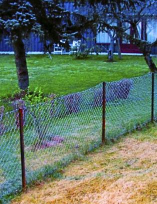 F� gr�nnere plen enn naboen