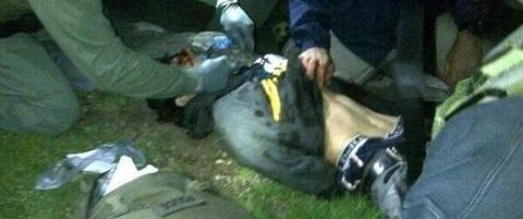 - Vi vet ikke om vi noensinne f�r avh�rt ham