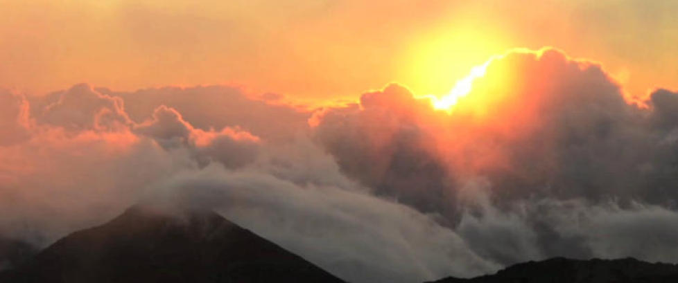 Fra trommespill p� ei nudiststrand p� Hawaii til Robinson-liv i Brasil