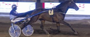 - Vi taper ikke uten uhell!