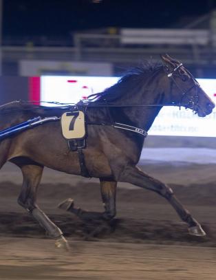 - Vi taper ikke uten uhell!