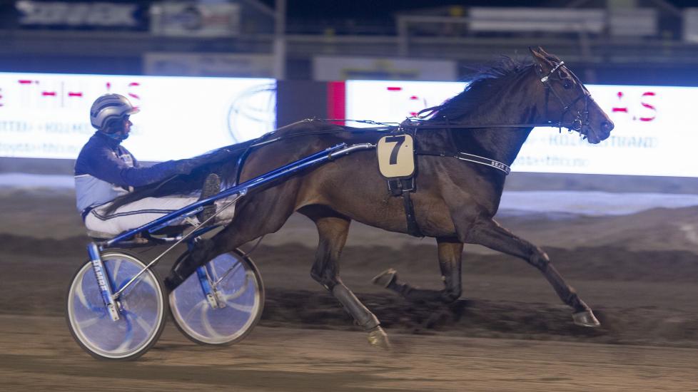 R�LEKKER. Sejr Gammelsb�k er elegant og har en enorm kapasitet. Hamre er sikker p� seier uten uhell i V65-avslutningen. Foto: HESTEGUIDEN.COM.