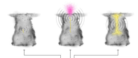 Norske forskere fant �kosmisk� str�ling i tordensky