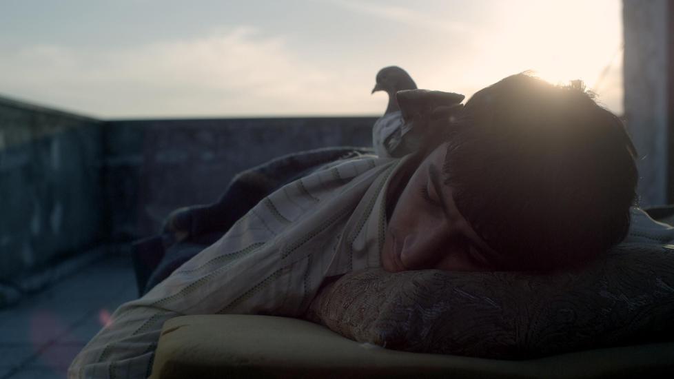 VANT PRIS: �F�r sn�en faller�, Hisham Zamans spillefilmdebut, vant i natt prisen for beste filmfotografi under Tribeca Film Festival i New York. Foto: Filmweb.