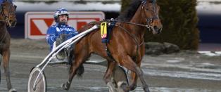 Jubeluke med travgevinster