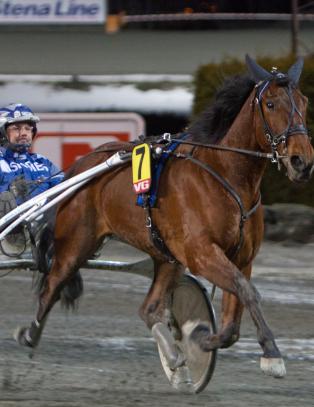 Jubeluke med travgevinster