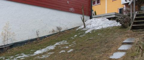 Her er tipsene som redder v�rplenen