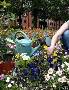 Unng� disse hagetabbene