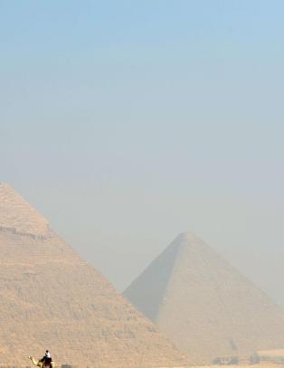 Spiste 1814 kilo kj�tt om dagen