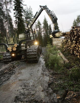 Skogsektoren f�r 750 millioner kroner