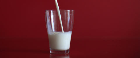 Kreftfremkallende muggsopp-gift funnet i svensk melk