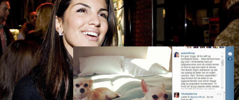 Aylar Lie tar i bruk klarsynte for � finne chihuahuaen sin