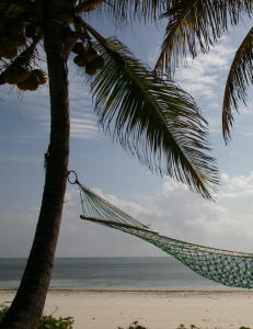 Om du vil ligge i forkant: N� handler det om �deep travel�