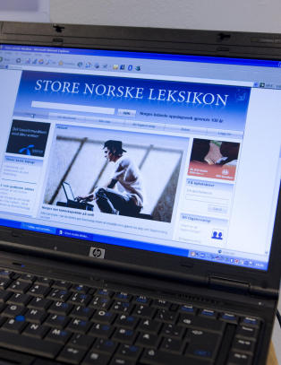 Store statlige ansvar