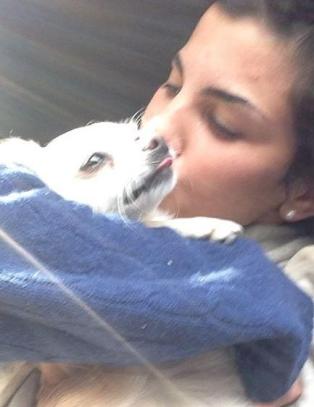 Aylar Lie har funnet igjen chihuahuaen sin