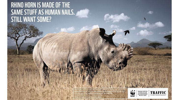 KAMPANJE: WWF ser p� neshornbestanden som en av de mer kritisk utryddningstruede dyreartene i verden. Foto: WWF