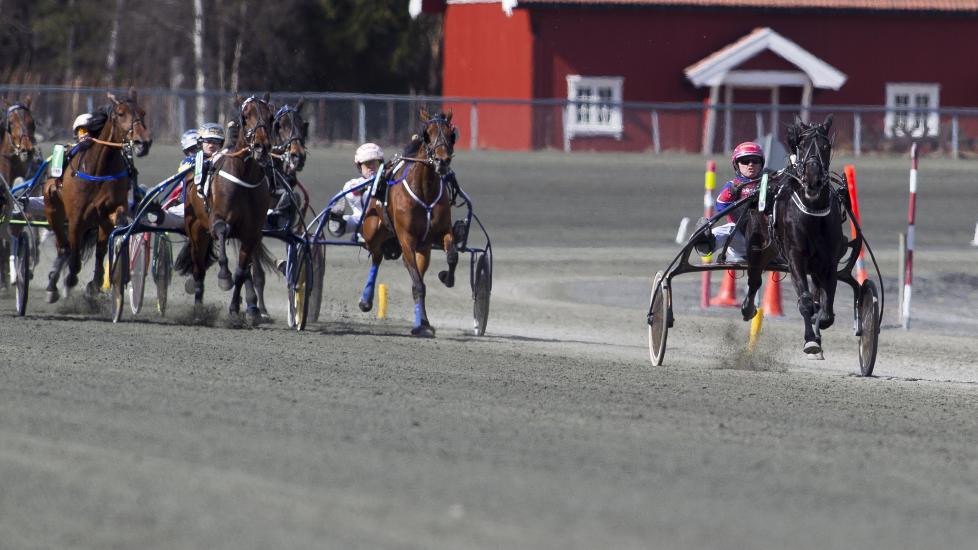 LANGT FORAN. S� suveren var W.J. Anker N'or forrige l�rdag. Trener og kusk Ove Wassberg har stor tro p� ny seier p� hjemmebane. Foto: HESTEGUIDEN.COM.