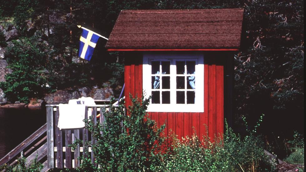 SK�R I GLEDEN: Ikke alt er fryd og gammen i Cecilie Treimos sommerhus. Foto: Pressens Bild (810)