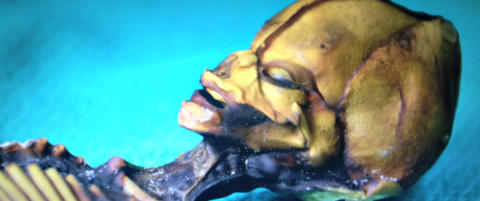 DNA-et avsl�rer at moren var fra S�r-Amerikas vestkyst