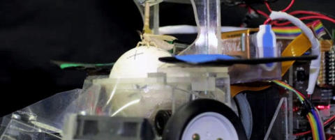 M�ll kan kj�re robot-bil