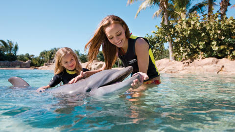  DISCOVERY COVE:  � bade med delfiner i SeaWorld Orlando er en av Floridas mest spennende opplevelser. Foto: TROY HOUSE / SEA WORLD ORLANDO