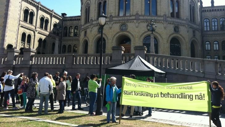 STORTINGET: En halvtime f�r demonstrasjonen skulle begynne hadde det allerede begynt � samle seg folk i Oslo sentrum. Foto: Line Brustad / Dagbladet