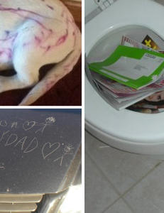 Verdens beste prevensjon