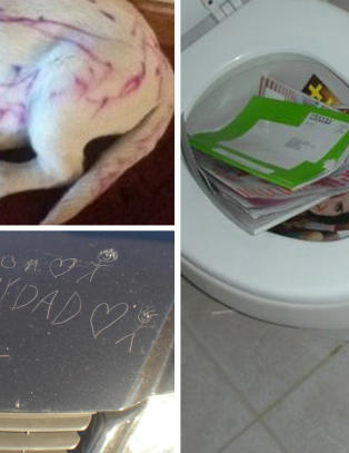 Verdens beste prevensjon