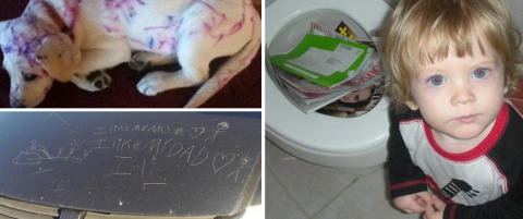 Verdens beste prevensjon