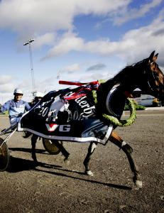 Hoftebrudd for Frode Hamre