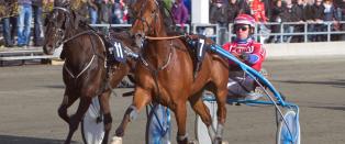 Forsvarer seg helt til m�l